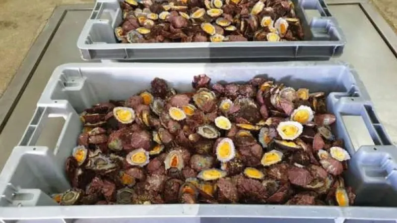 Foto Arquivo