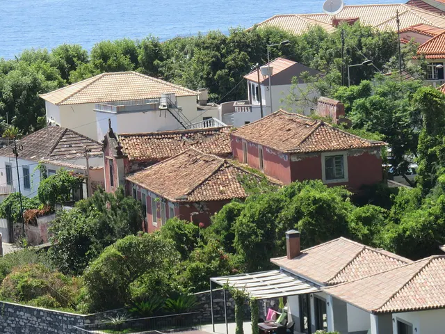 Quinta da Piedade, no Jardim do Mar, antiga propriedade vinculada dos morgados do Jardim do Mar, antepassados de Francisco João Vasconcelos. Aqui passou Luzia várias temporadas, sobretudo na época de laboração do engenho de cana-de-açúcar de Francisco João. Apesar de uma adaptação inicialmente difícil, devido ao isolamento, o Jardim do Mar ficaria para sempre no coração e na imaginação de Luzia. (Atribuição: Paulo Santos Perneta/Wikimedia Commons CC-BY-SA 4.0)
