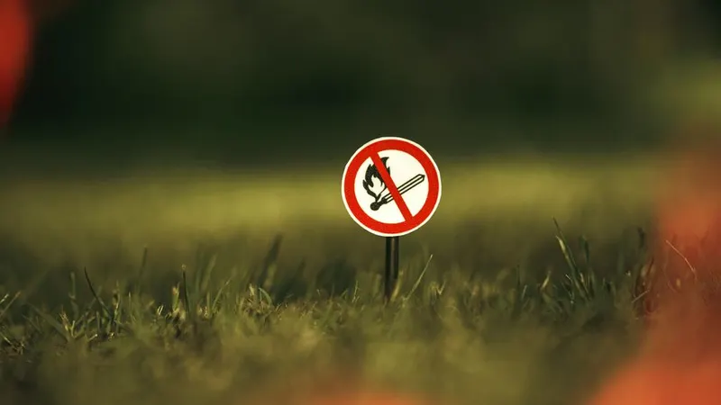 Foto Shutterstock