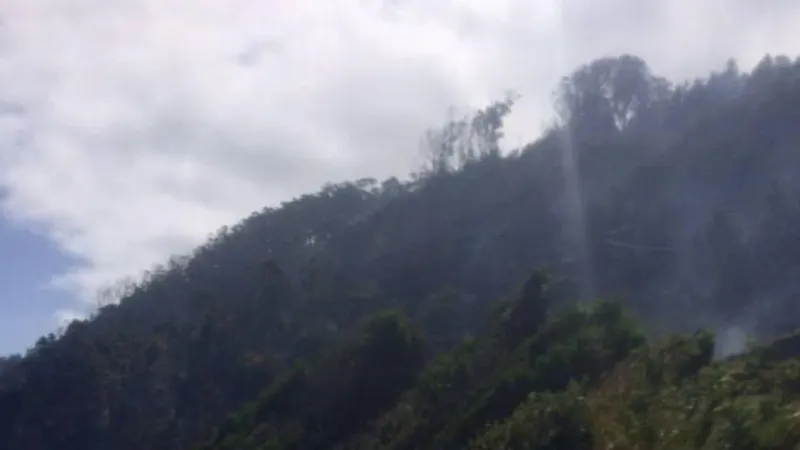 Esta imagem é ainda de ontem.   Foto DR