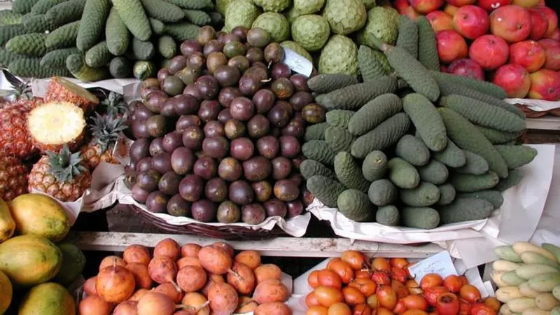 Entre outras sugestões, a Quercus sugere consumir alimentos biológicos de produção local.