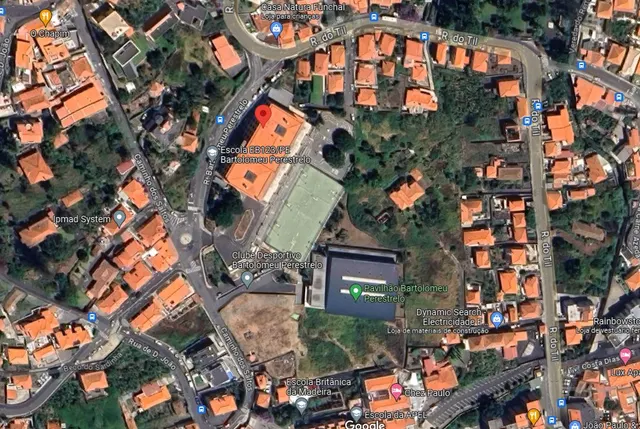 Foto Google Maps