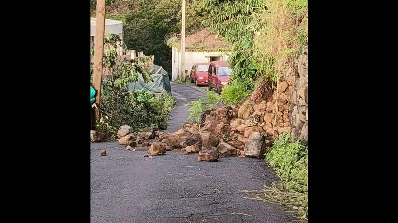 Foto DR/Junta de Freguesia de Machico