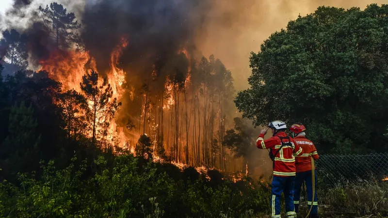 Foto&nbsp;NUNO ANDRÉ FERREIRA/LUSA