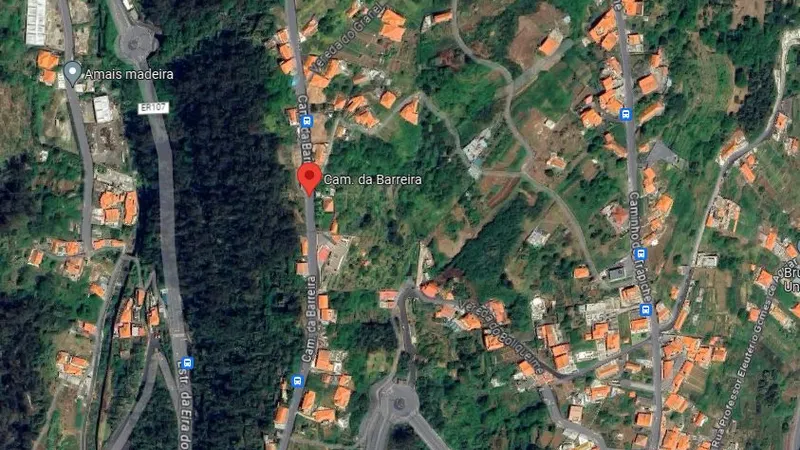 Foto Google Maps