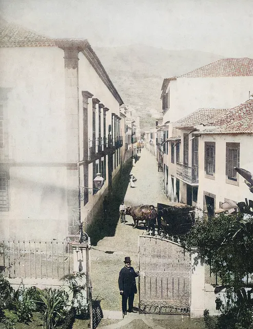 Vista da rua dos Netos tirada do edifício onde esteve Clube Funchalense, atualmente propriedade do Externato da Apresentação de Maria, vendo-se em primeiro plano um vetusto palacete de portão armoriado, hoje desaparecido, onde poderá ter vivido Júlia de França Neto. Original da década de 1880, de autor desconhecido, colorido com recurso a inteligência artificial.