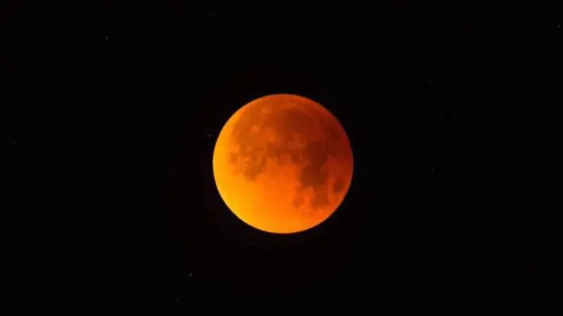 FOTO Getty Images/iStockphoto