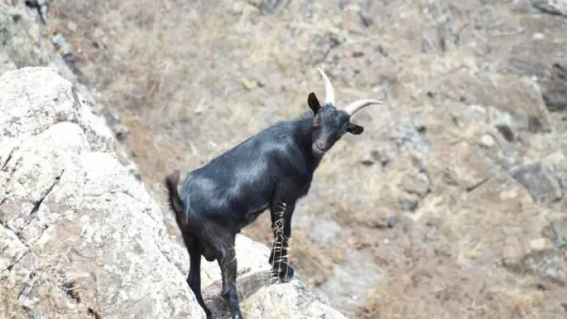 Foto Arquivo