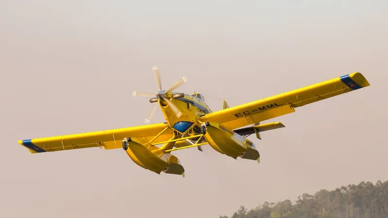 Foto&nbsp;Bruno Ismael Silva Alves/Shutterstock.com