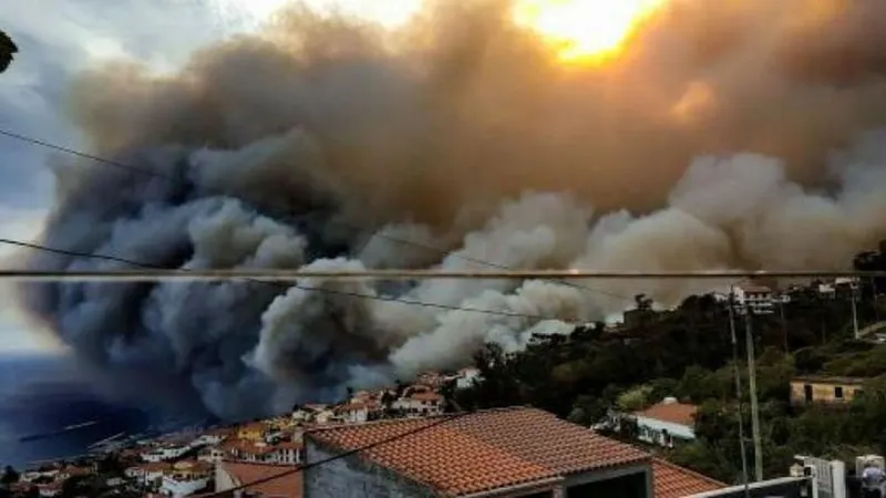 Filipe Rebelo recorda os que viram “o trabalho de uma vida destruído” pelos incêndios.