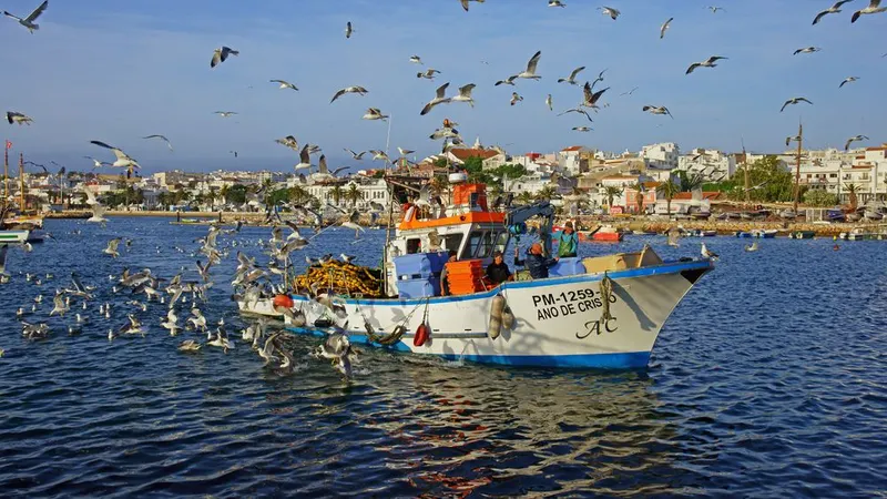Foto&nbsp;PJ photography / Shutterstock.com