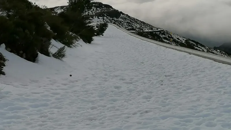 Imagem captada na última segunda-feira, dia 18, próximo do cume do Pico do Areeiro