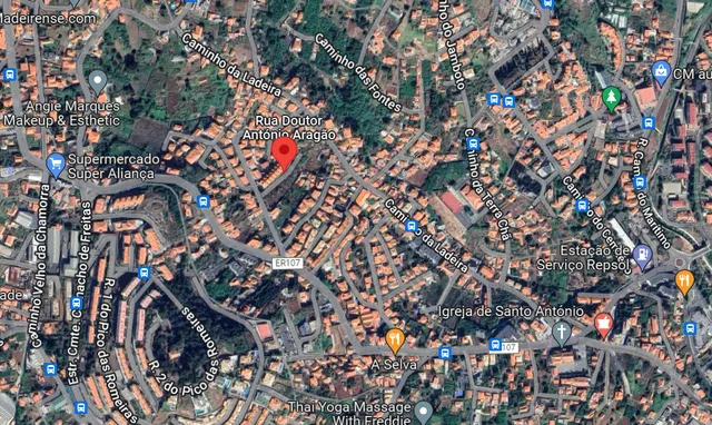 Foto Google Maps