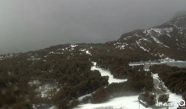Imagens das webcam da Net Madeira também demonstram Achada do Teixeira coberta de neve