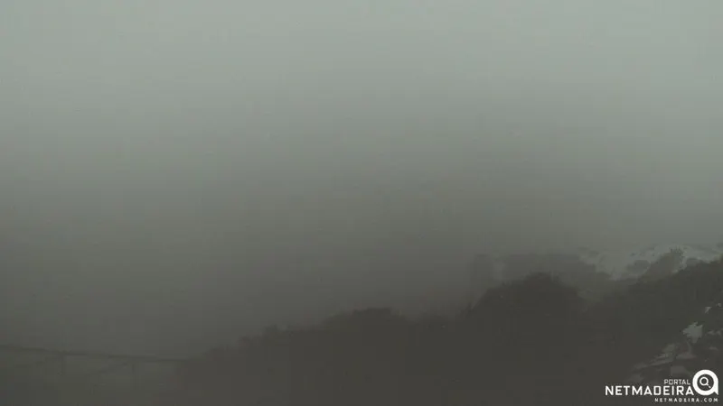 Foto Netmadeira