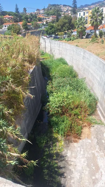 A descarga está a ocorrer num afluente da Ribeira de Santo António.
