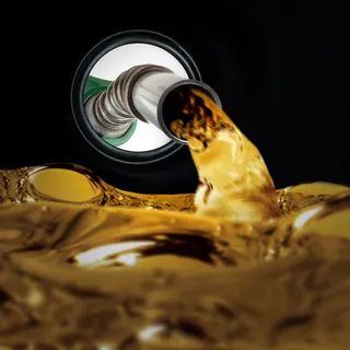Foto Shutterstock