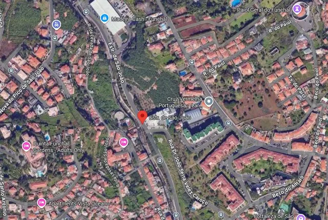 Foto Google Maps