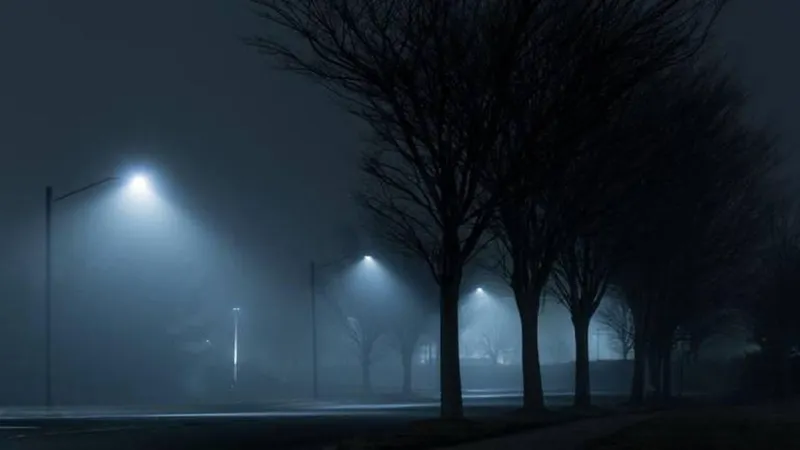 Foto Shutterstock