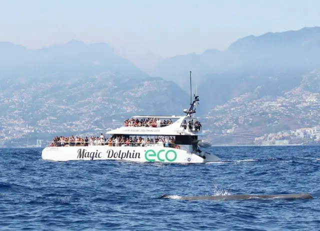 Embarcação que realizou o resgate