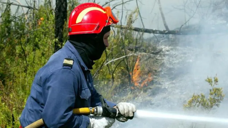 O alerta para as chamas foi dado às 01.55 de hoje e o fogo chegou a avançar em três frentes.