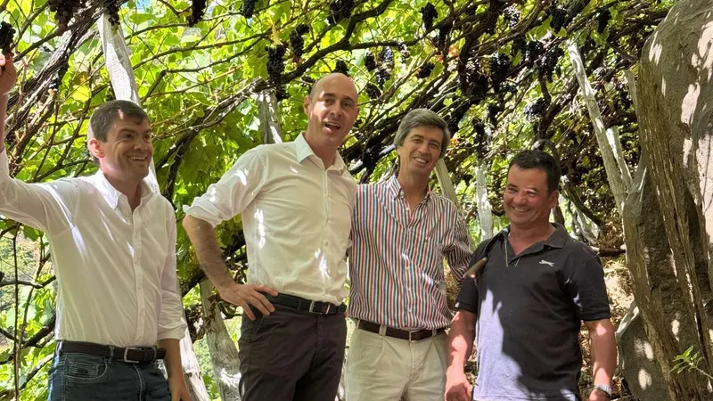 O presidente do Instituto da Vinha e do Vinho dos Açores, Cláudio José Gomes Lopes, está na Região.&nbsp;