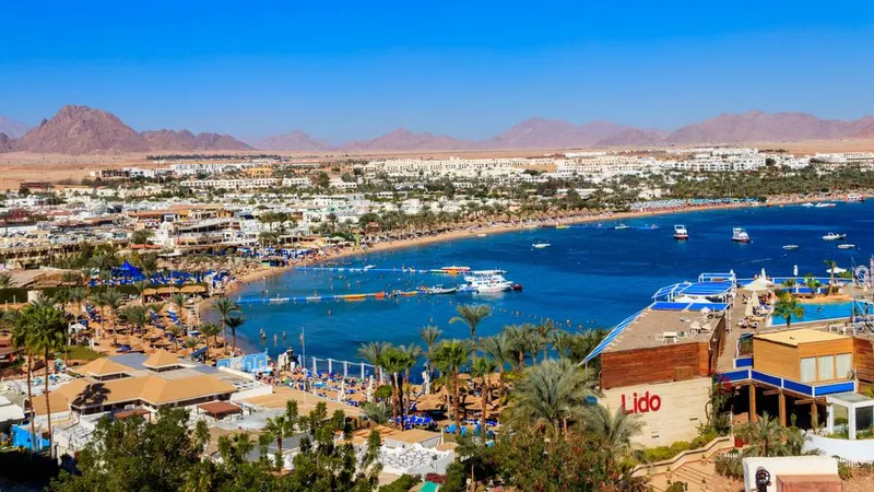 Foto&nbsp; Olha Solodenko / Shutterstock.com