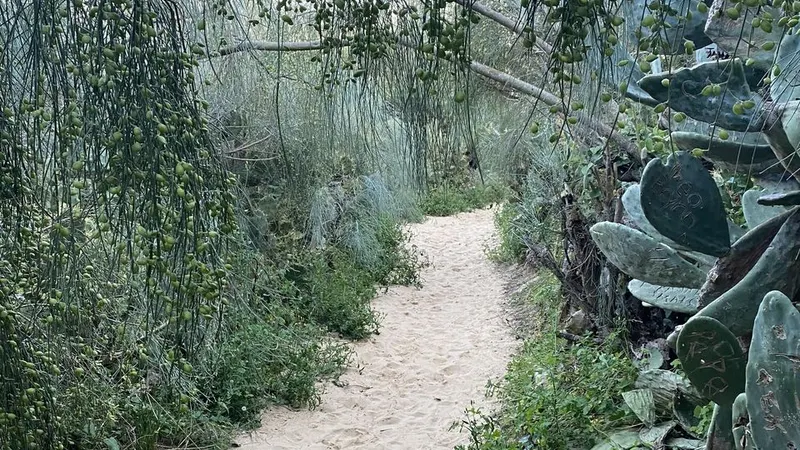 Foto DR/Rute Fernandez