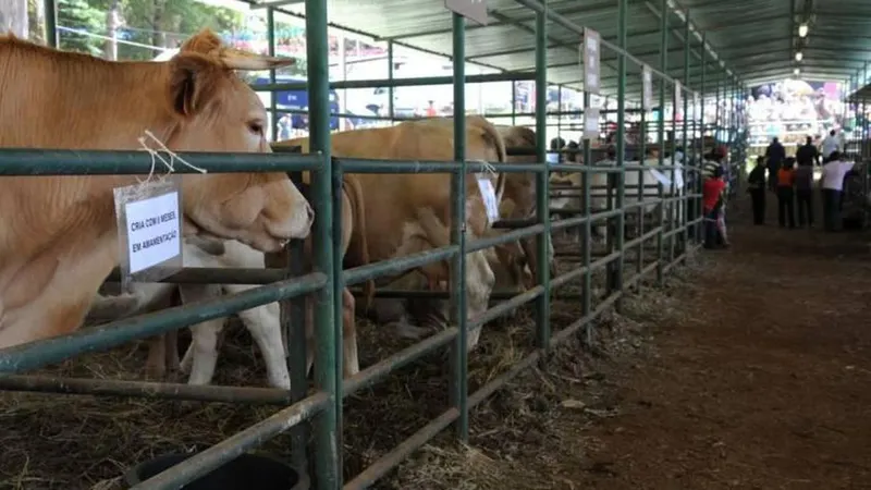 Foto Arquivo