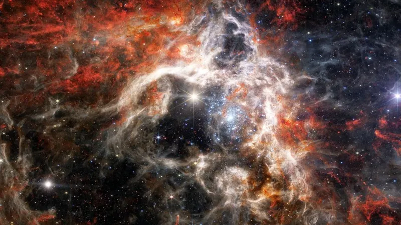 Foto DR/James Webb Telescope/Shutterstock