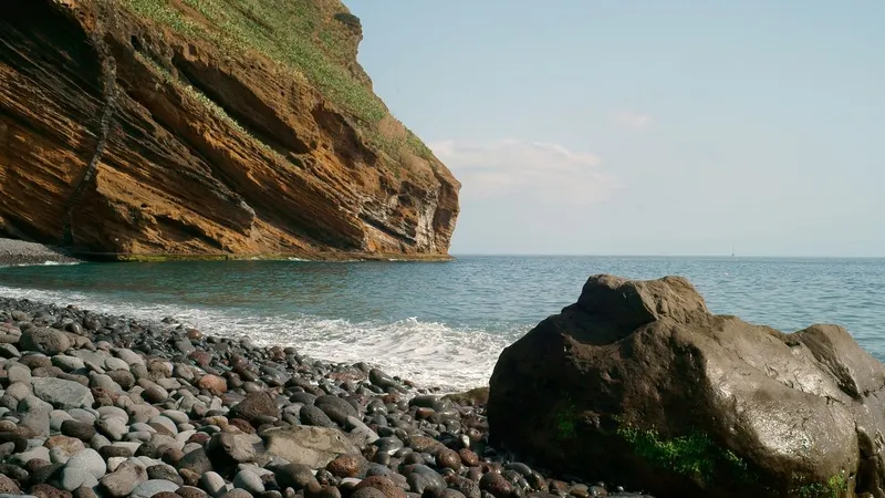 A primeira reserva marinha foi criada em Portugal a 1986.