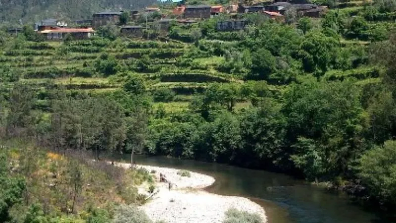Foto CM Arouca
