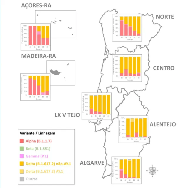 Evolução semanal da frequência relativa das “Variants of
Concern” (VOC) entre as semanas 22 (31 de Maio – 06 de Junho) e 26 (28 de Junho
– 4 de Julho) de 2021 por Região de Saúde<br>