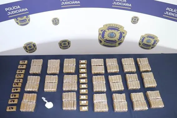 Foto DR/Polícia Judiciária