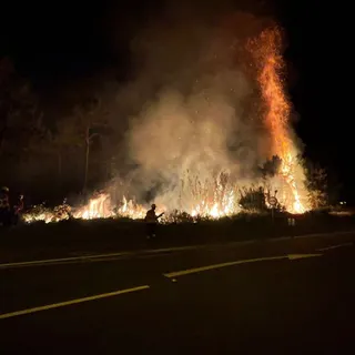 O fogo lavra junto à Via Expresso. Foto e Vídeo: Eugénio Perregil