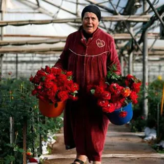 Israel / Reuters