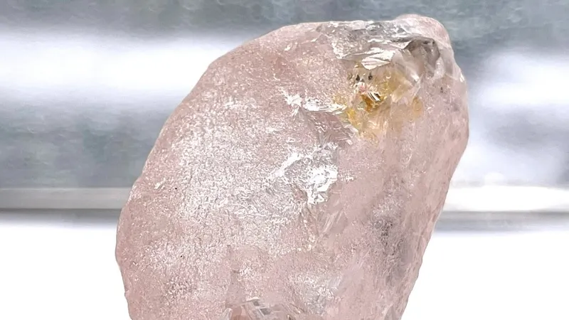 A 'Rosa de Lulo'.&nbsp; &nbsp;Foto DR/Lucapa Diamond Company