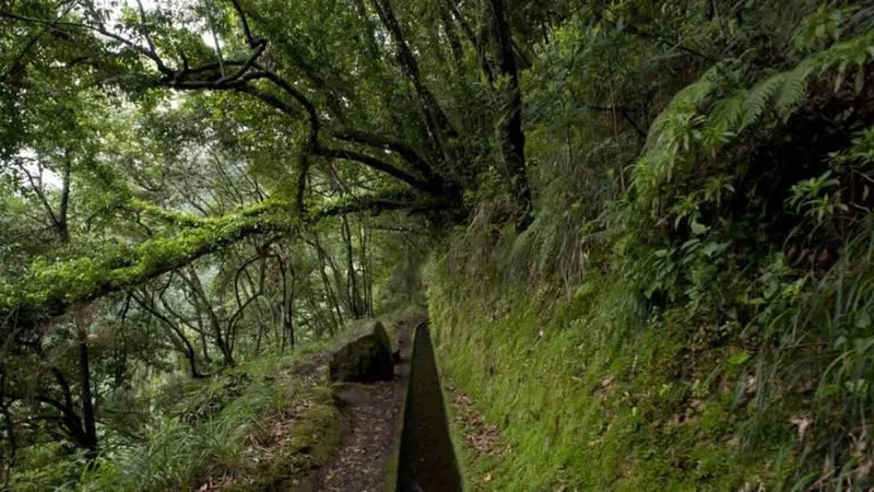 Foto Arquivo