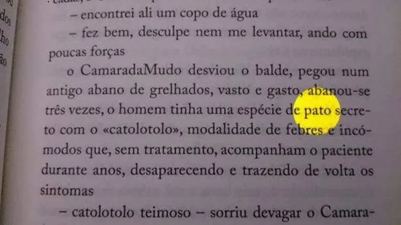 Foto DR