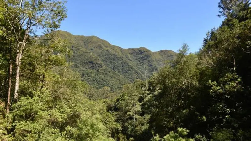 A estrada de 10km liga o sítio das Ginjas, em São Vicente, aos Estanquinhos, no Paul da Serra. Foto DR