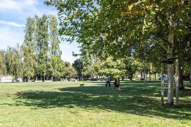 Foto DR/CMLisboa