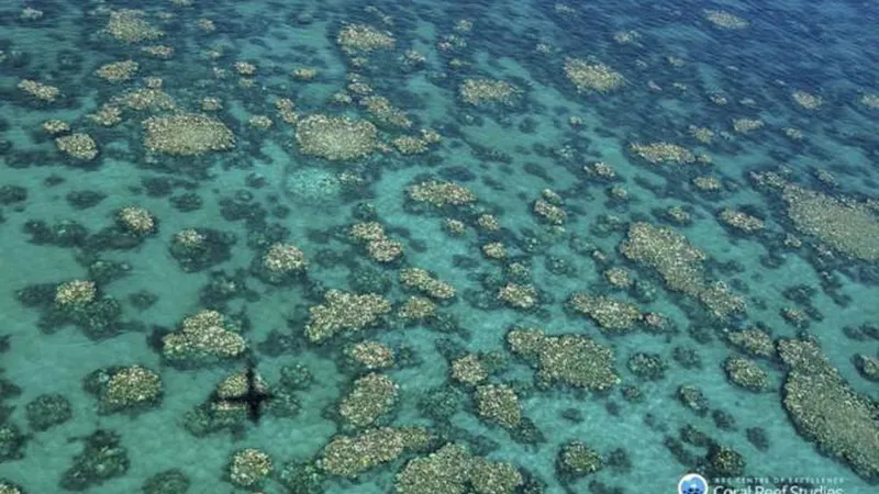 A Grande Barreira do Coral fica na costa australiana.  Foto EPA/ED ROBERTS/ARC CENTRE CORAL REEF STUDIES 