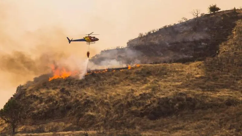  Cerca de oito mil pessoas foram retiradas das suas casas de várias cidades no norte da Grande Canária na sequência do incêndio florestal que lavra desde sábado naquela ilha espanhola.