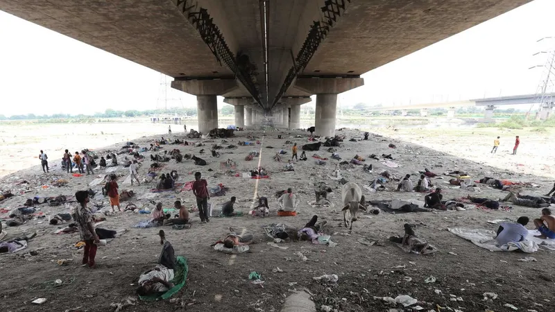 Nova Deli está a ser vítima de uma vaga de calor. Nesta fotografia várias cidadãos e animais resguardam-se do calor debaixo de uma ponte.<br>
