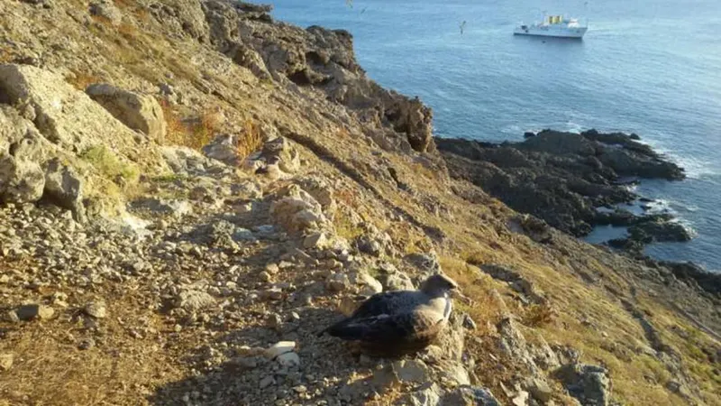 Fotos Marinha Portuguesa