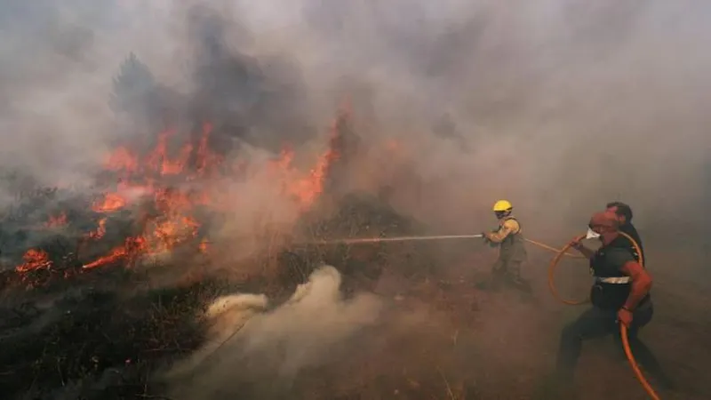 Vários incêndios continuam a lavrar no distrito de Castelo Branco. Dois com origem na Sertã e um em Vila de Rei assumiram maiores dimensões, tendo este último alastrado, ainda no sábado, ao concelho de Mação, distrito de Santarém. A Protecção Civil informava que 1.089 bombeiros combatiam o fogo que deflagrou em Vila de Rei, apoiados por 332 veículos. Estavam ainda a operar 17 meios aéreos.