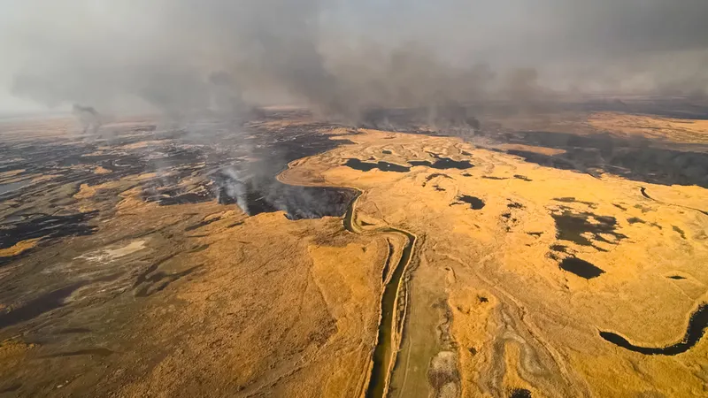As tundras russas são um dos ecossistemas mais frágeis do Planeta.&nbsp; Foto Shutterstock