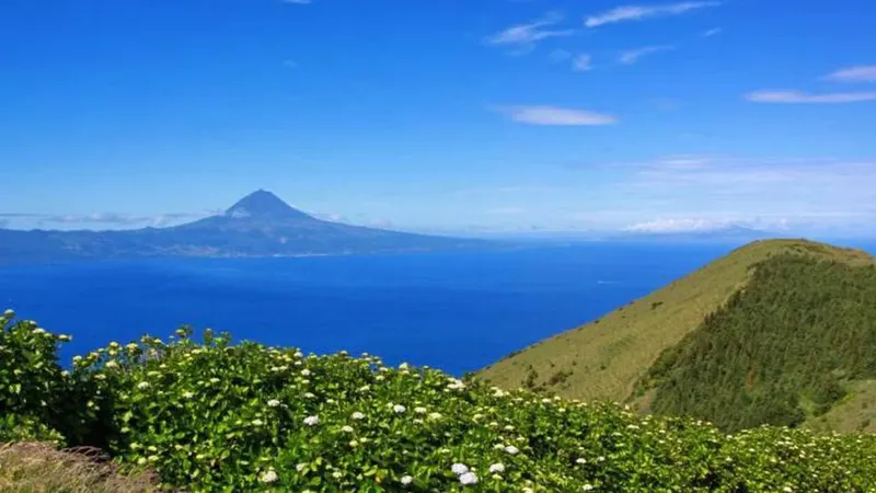 FOTO Wikimedia Commons
