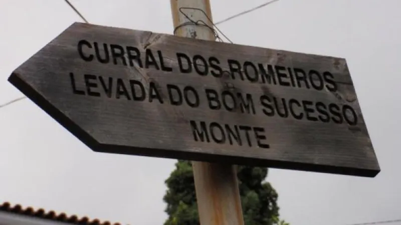 Os turistas não sofreram ferimentos. Foto arquivo