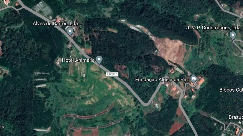 Foto Google Maps
